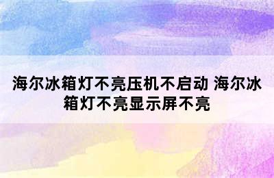 海尔冰箱灯不亮压机不启动 海尔冰箱灯不亮显示屏不亮